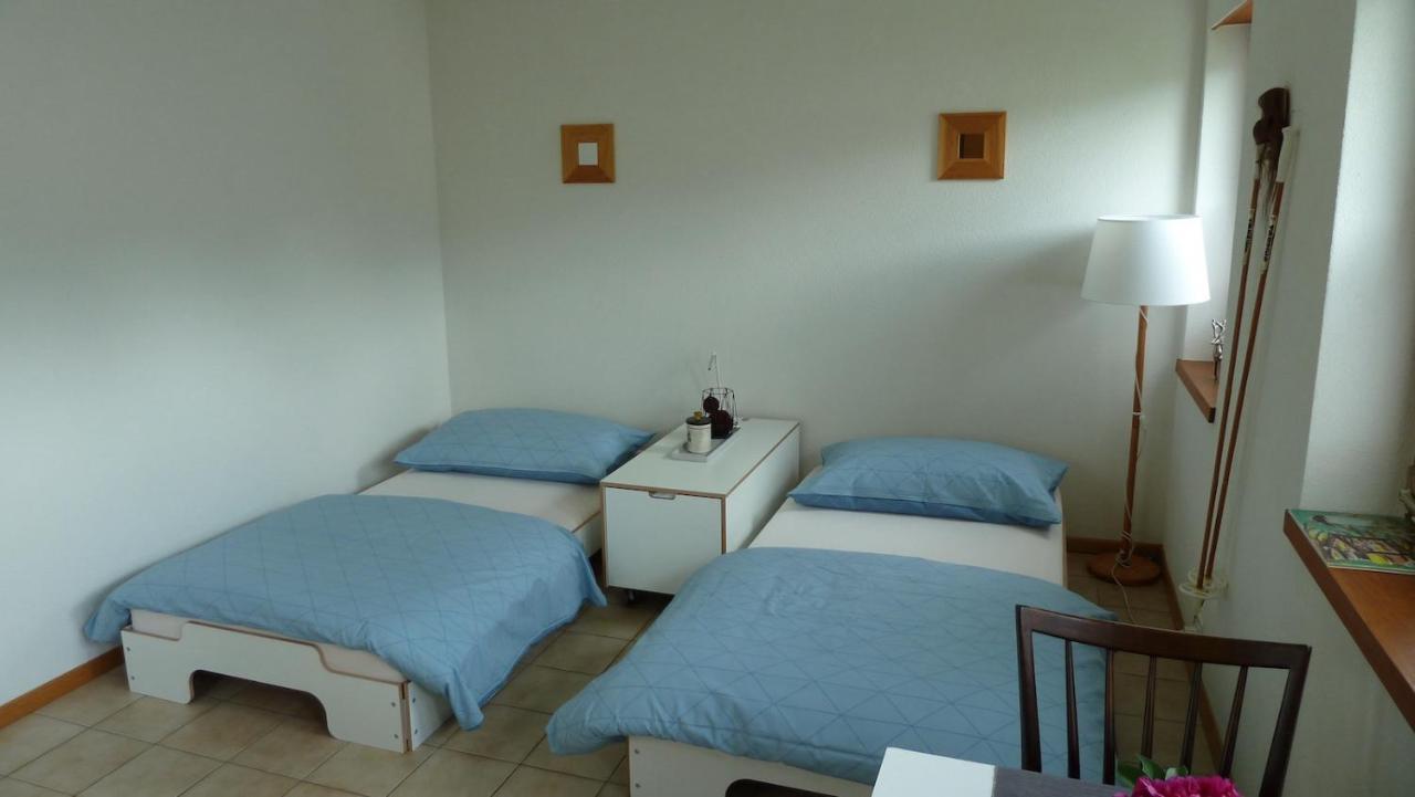 Holzji Apartment Glis Bagian luar foto