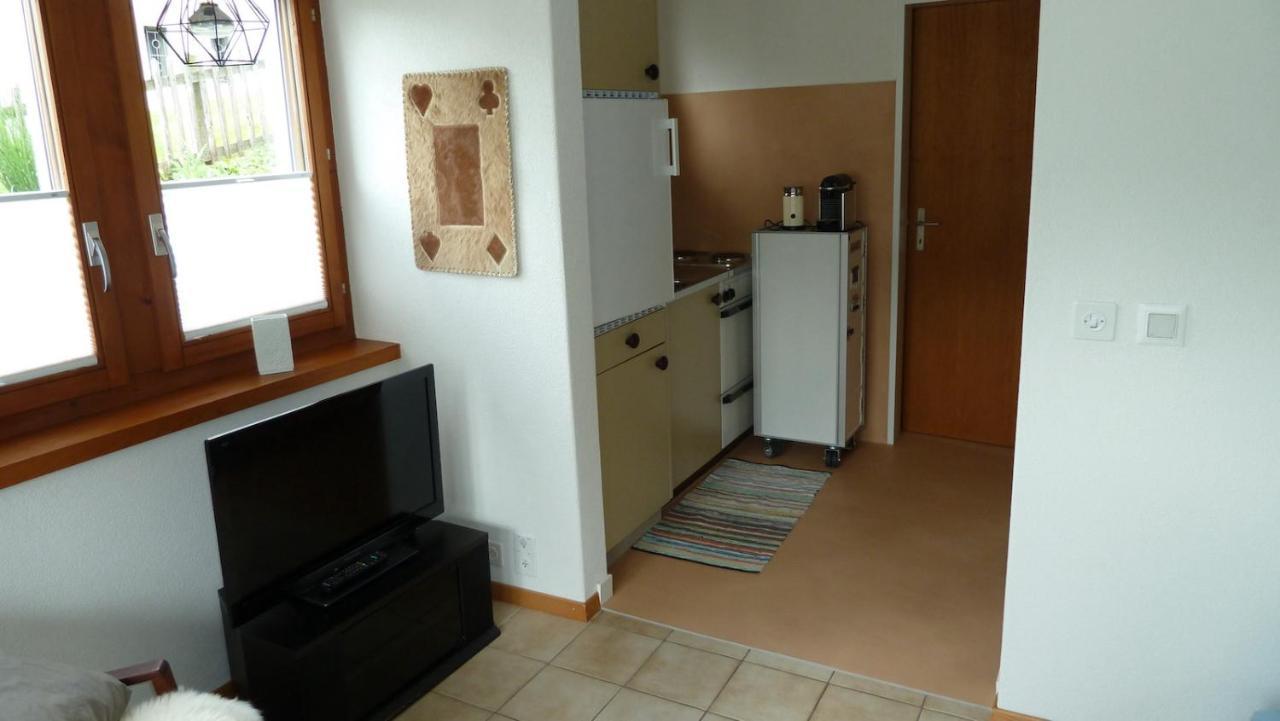 Holzji Apartment Glis Bagian luar foto